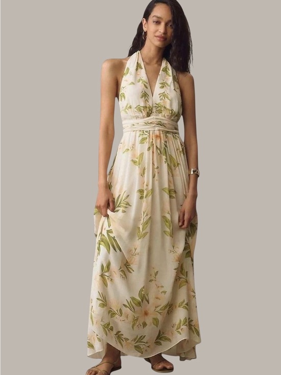 FARM Rio Dresses & Skirts - FARM Rio X Anthropologie V-Neckline Floral Chiffon Maxi Dress Size Large
